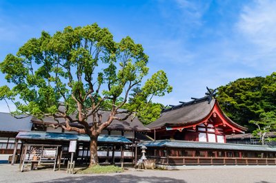 ⛩️ 무나카타 대사 헤쓰구 이미지 2